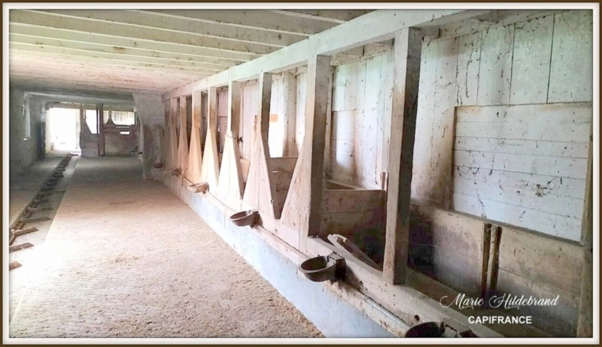 Photos 16 - Agricultural - Property of over 170m² - 4 bedrooms - outbuildings and 40 hectares of farmland