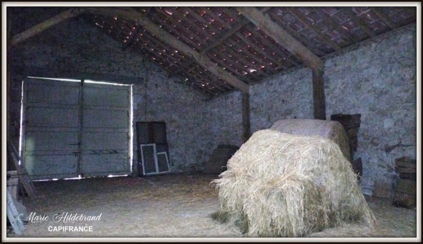 Photos 18 - Agricultural - Property of over 170m² - 4 bedrooms - outbuildings and 40 hectares of farmland