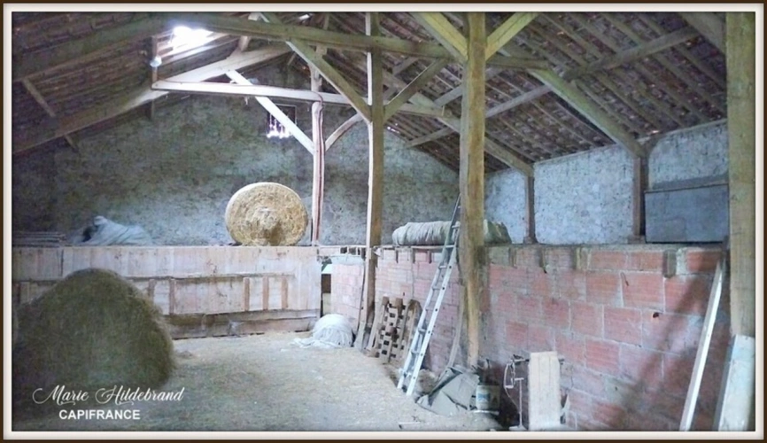 Photos 19 - Agricultural - Property of over 170m² - 4 bedrooms - outbuildings and 40 hectares of farmland