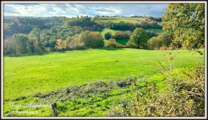 Photos 22 - Agricultural - Property of over 170m² - 4 bedrooms - outbuildings and 40 hectares of farmland