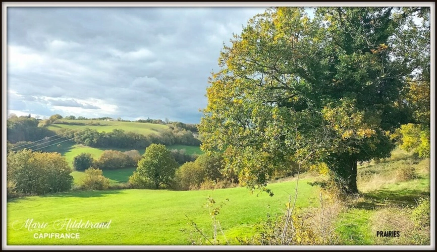 Photos 23 - Agricultural - Property of over 170m² - 4 bedrooms - outbuildings and 40 hectares of farmland