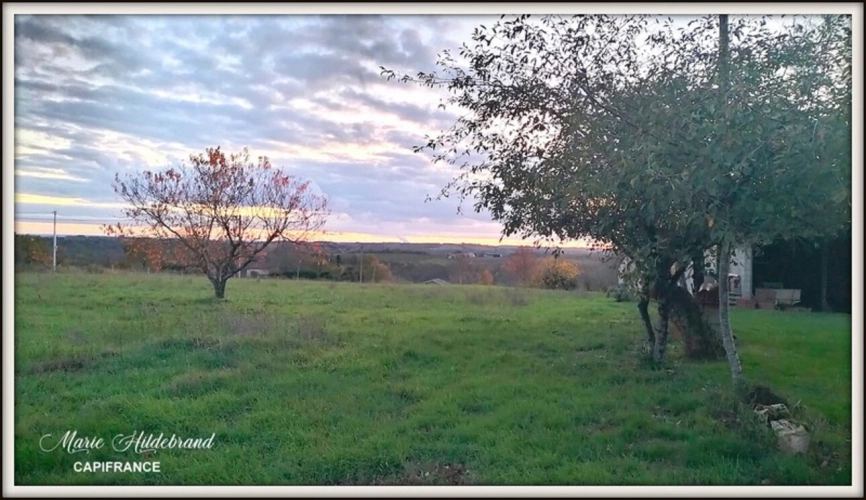 Photos 24 - Agricultural - Property of over 170m² - 4 bedrooms - outbuildings and 40 hectares of farmland