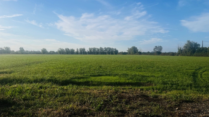 Photos 2 - Agricultural - Property to renovate on 6.5 hectares