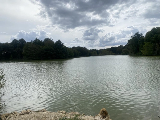 Photos 3 - Forestière - PROPRIETE EXCEPTIONNELLE AVEC  ETANG DE PECHE 5HA ET 2 MAISO