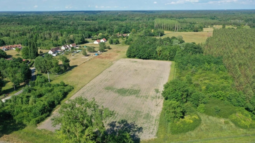 Photos 3 - Équestre - Terrain constructible avec partie agricole