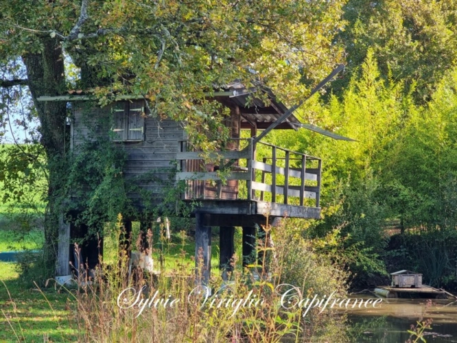 Photos 9 - Prestige - Propriété à vendre 7 pièces BERGERAC (24) - Terrain + de 7 ha - Piscine - Grenier aménageable - Nombreuses dépendances