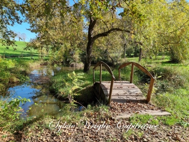 Photos 10 - Prestige - Propriété à vendre 7 pièces BERGERAC (24) - Terrain + de 7 ha - Piscine - Grenier aménageable - Nombreuses dépendances