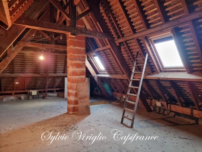 Photos 19 - Prestige - Propriété à vendre 7 pièces BERGERAC (24) - Terrain + de 7 ha - Piscine - Grenier aménageable - Nombreuses dépendances
