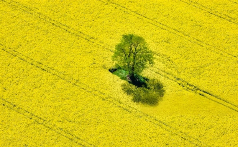 Photos 3 - Agricole - NOUVELLE AQUITAINE – EXPLOITATION AGRICOLE – 130 HA