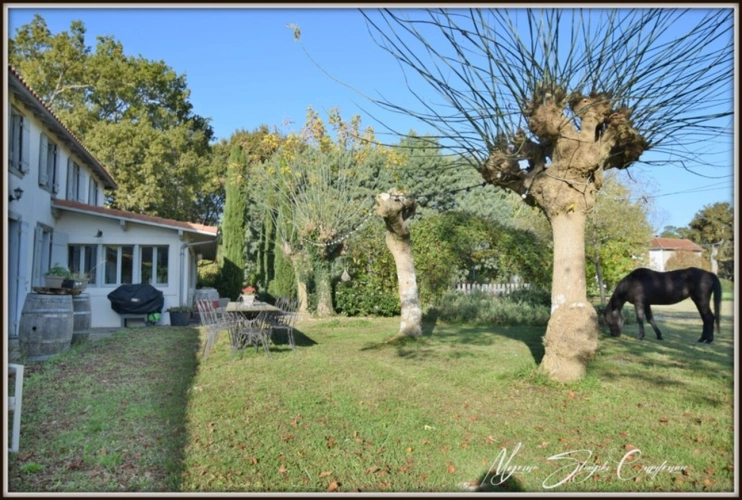 Photos 29 - Équestre - PROCHE DE BISCARROSSE Propriété à vendre T10 de 360 m² environ (40) SUR 5 HECTARES