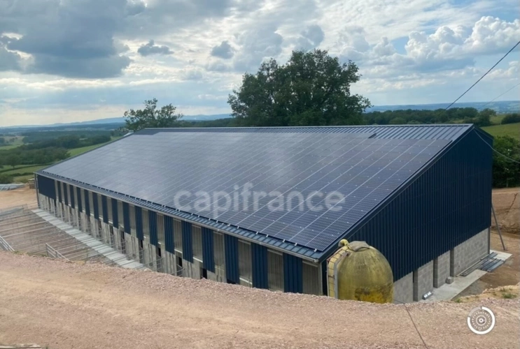 Photos 3 - Agricole - Dpt Saône et Loire (71), à vendre VILLENEUVE EN MONTAGNE propriete P8