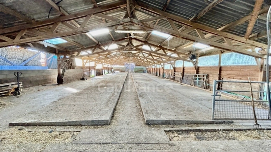 Photos 5 - Agricole - Dpt Saône et Loire (71), à vendre VILLENEUVE EN MONTAGNE propriete P8