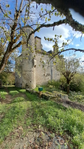 Photos 3 - Prestige - Château mamoir à vendre 7 pièces VALLEE DE LA DORDOGNE (46)