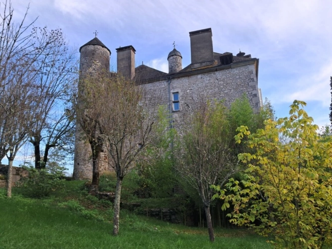 Photos 9 - Prestige - Château mamoir à vendre 7 pièces VALLEE DE LA DORDOGNE (46)