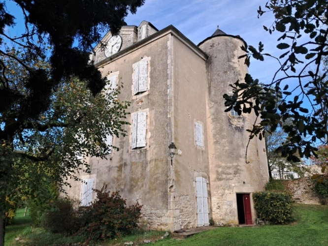 Photos 10 - Prestige - Château mamoir à vendre 7 pièces VALLEE DE LA DORDOGNE (46)