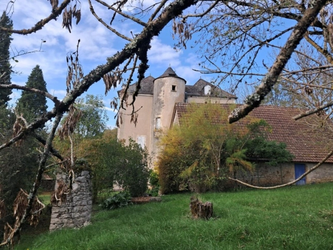 Photos 19 - Prestige - Château mamoir à vendre 7 pièces VALLEE DE LA DORDOGNE (46)