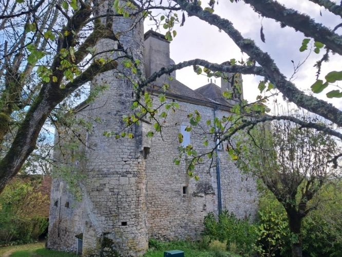 Photos 21 - Prestige - Château mamoir à vendre 7 pièces VALLEE DE LA DORDOGNE (46)