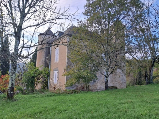 Photos 22 - Prestige - Château mamoir à vendre 7 pièces VALLEE DE LA DORDOGNE (46)