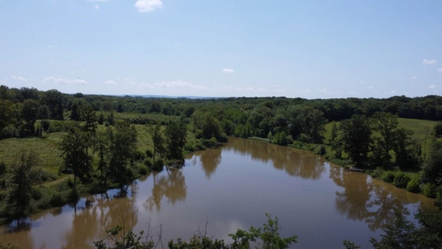 Photos 3 - Forestière - Dpt Jura (39), LONS LE SAUNIER, étang à vendre