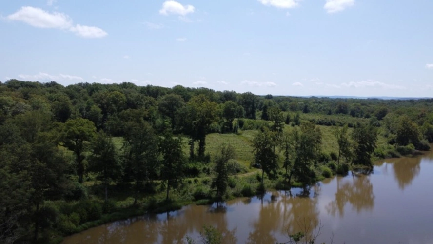 Photos 5 - Forestière - Dpt Jura (39), LONS LE SAUNIER, étang à vendre