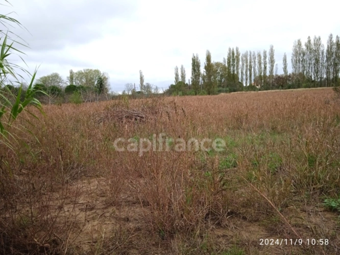 Photos 1 - Foncière - Terrain agricole à bâtir de 6 250,00 m²