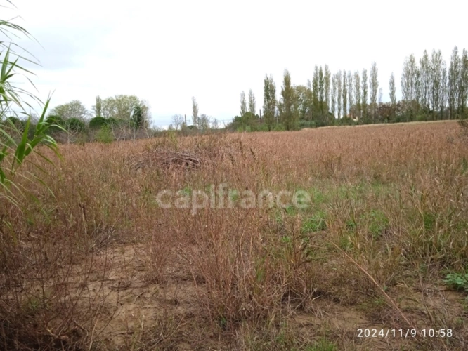 Photos 2 - Foncière - Terrain agricole à bâtir de 6 250,00 m²