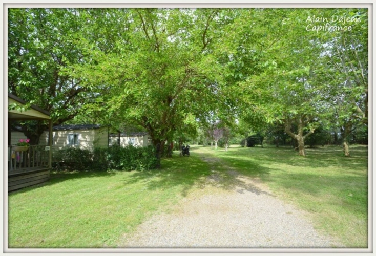 Photos 22 - Prestige - Dpt Lot et Garonne (47), à vendre Château du 17e Siècle aux portes d' AGEN - Terrain de 52 Hectares