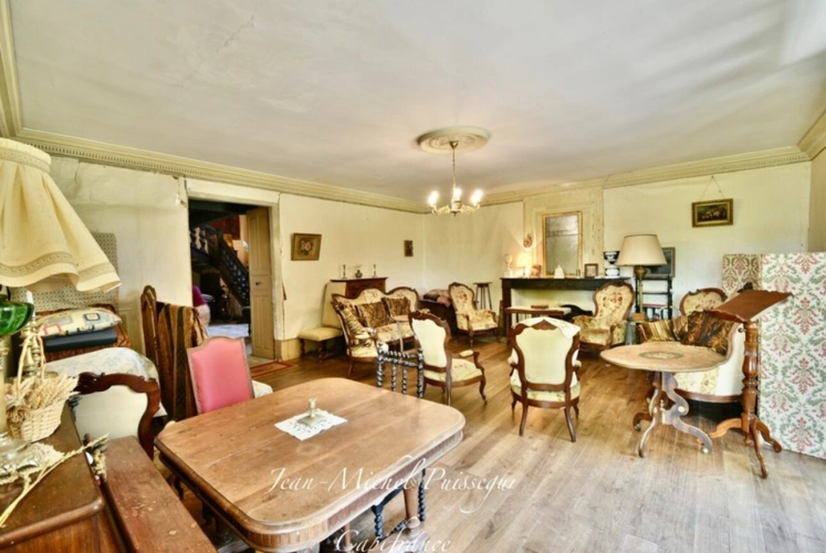 Photos 10 - Prestige - Dpt Haute Garonne (31), proche de AURIGNAC, Château 12ème siècle avec Parc de 5Ha