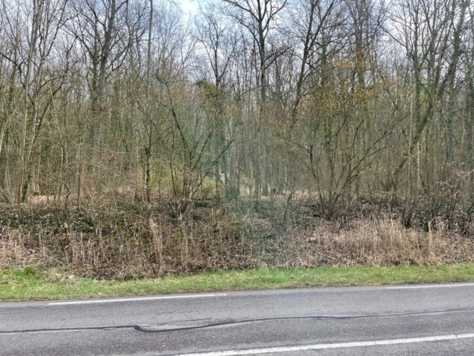 Photos 1 - Forestière - Dpt Moselle (57), à vendre MALROY terrain