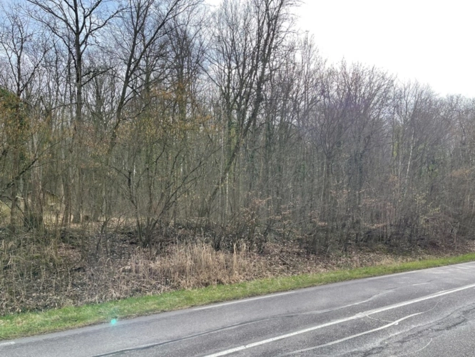 Photos 2 - Forestière - Dpt Moselle (57), à vendre MALROY terrain