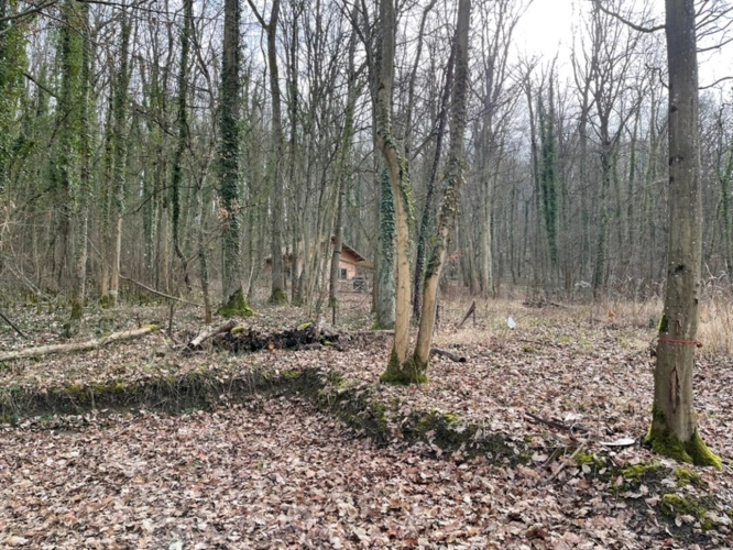 Photos 3 - Forestière - Dpt Moselle (57), à vendre MALROY terrain