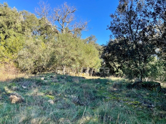 Photos 3 - Foncière - Terrain de loisir  à vendre  SAINT PAUL LA COSTE (30)