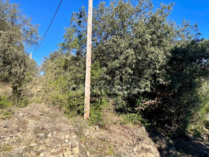 Photos 4 - Foncière - Terrain de loisir  à vendre  SAINT PAUL LA COSTE (30)