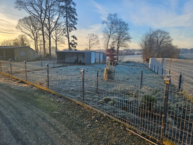 Photos 4 - Agricultural - elevage canin