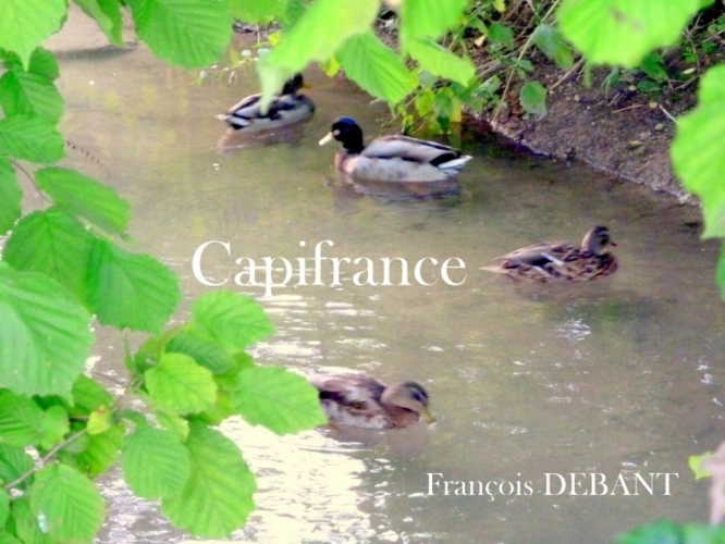 Photos 1 - Foncière - Terrain à vendre   ()
