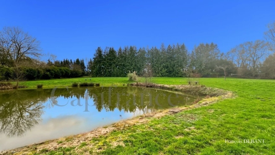 Photos 5 - Foncière - Terrain à vendre   ()