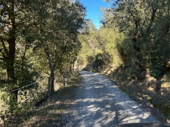Photos 1 - Foncière - 180 ha bois et prairies, gîtes (Aude)