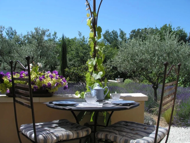 Photos 3 - Touristique - Maison d'hôtes de charme climatisée a vendre au coeur du Luberon