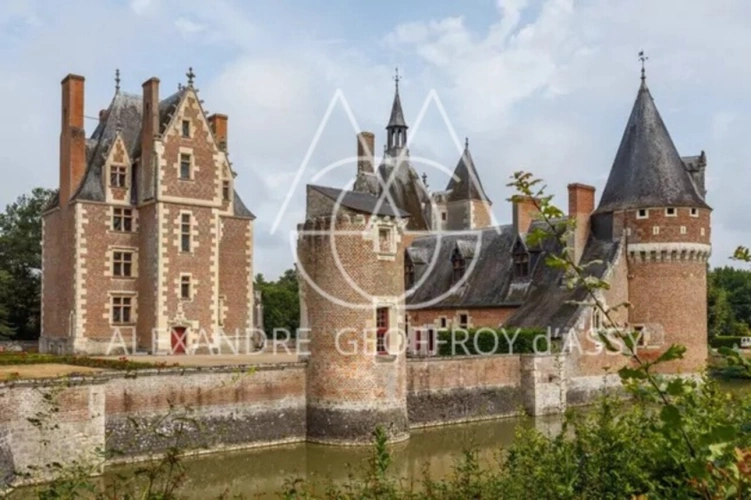 Photos 2 - Prestige - Vente d'un magnifique château du 15eme (ISMH) en Sologne sur 40ha