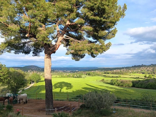Photos 1 - Équestre - Propriété d'execption à Manosque (04)