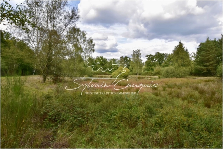 Photos 1 - Forestière - Propriété de Chasse et d'Agrément de 80 hectares en Sologne