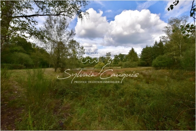 Photos 2 - Forestière - Propriété de Chasse et d'Agrément de 80 hectares en Sologne