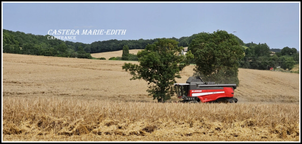 Photos 5 - Agricole - Dpt Gers (32), à vendre proche AUCH - propriété agricole - 145 Hectares avec LAC et 860 M² de bâtiments