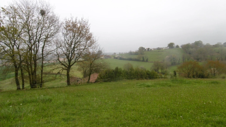 Photos 9 - Tourist - Dpt Landes (40), for sale GEAUNE property P5 - Land of 18,770.00 m²