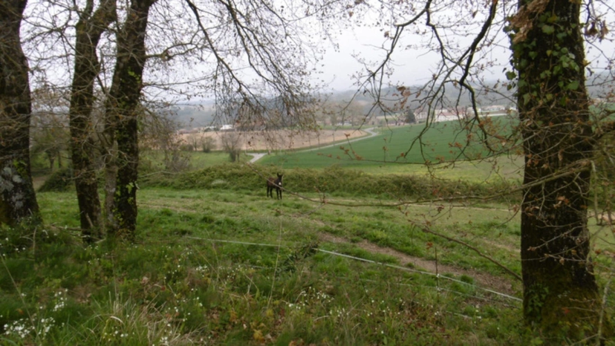 Photos 18 - Tourist - Dpt Landes (40), for sale GEAUNE property P5 - Land of 18,770.00 m²