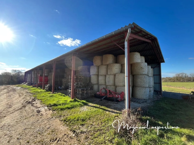 Photos 7 - Agricole - Exploitation d'élevage ovin 60 HA en propriété +100 HA en location dans le LOT 46 OCCITANIE