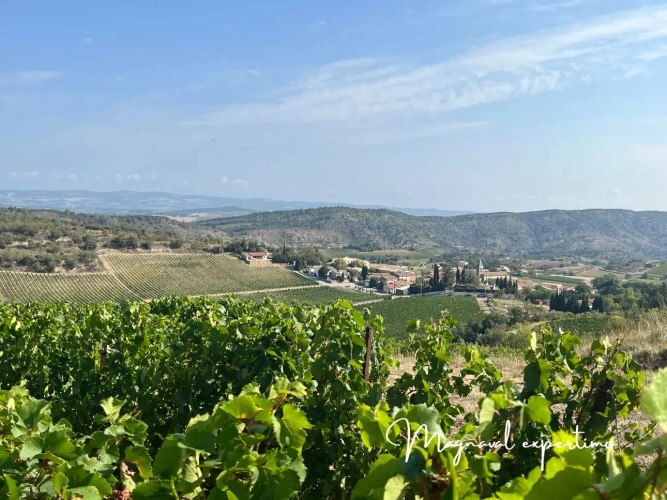 Photos 1 - Viticole - Domaine Viticole IGP Limoux certifié AB de 34Ha avec cave et habitation