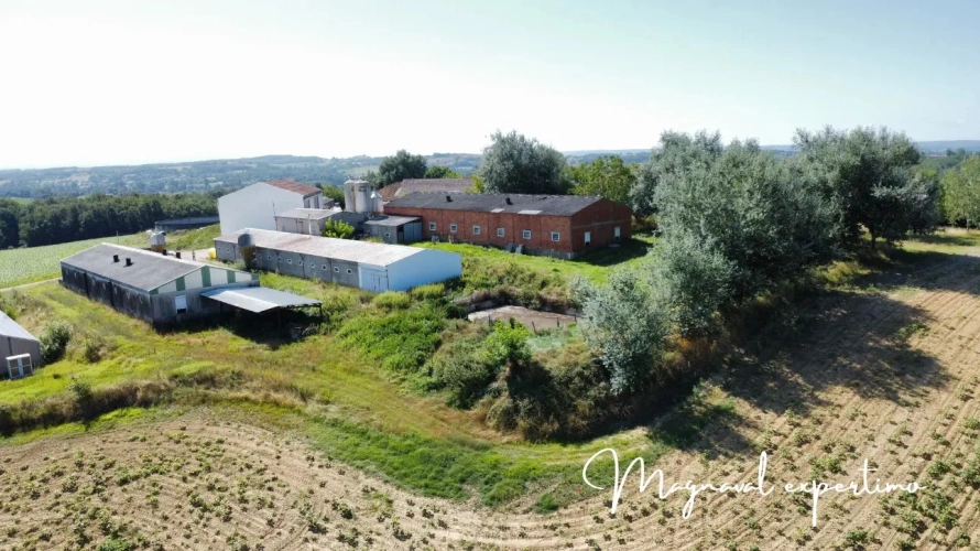 Photos 1 - Agricole - Revenu assuré, affaire à saisir atelier 440 Veaux de boucherie Tarn et Garonne