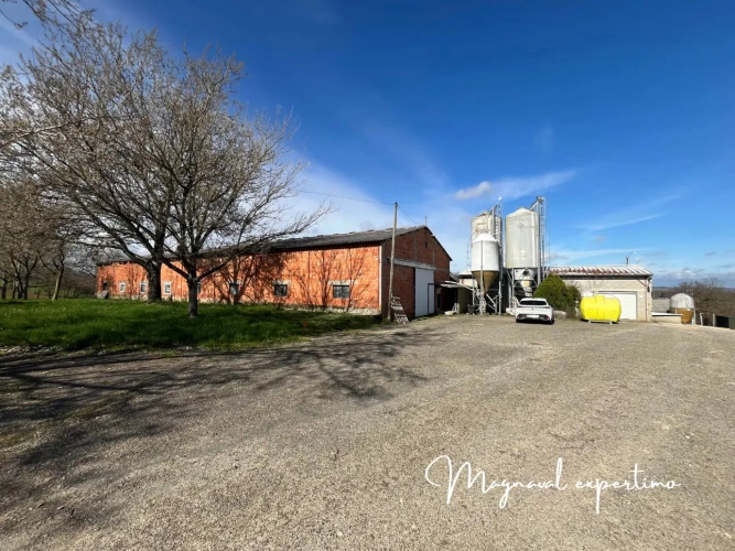 Photos 2 - Agricole - Revenu assuré, affaire à saisir atelier 440 Veaux de boucherie Tarn et Garonne