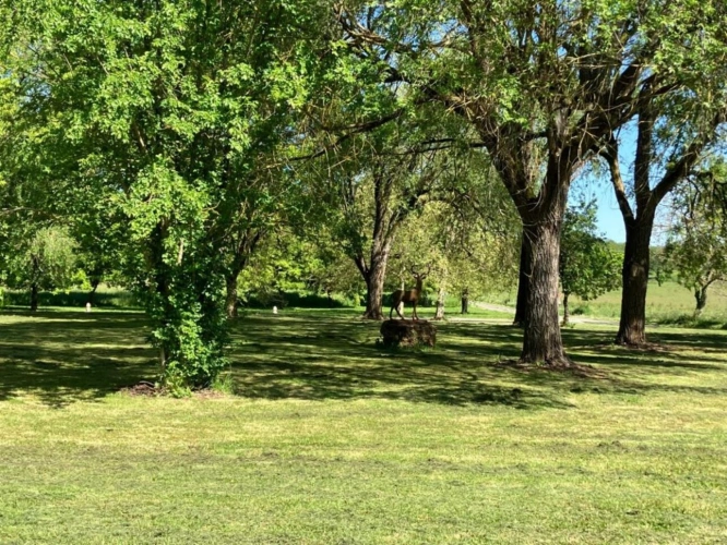 Photos 10 - Touristique - Manoir